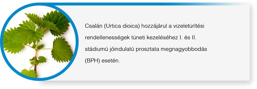 fluxus prostatae ár