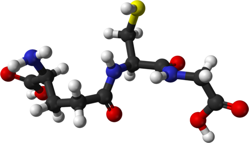 Glutation (GSH)